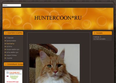 Котята Мейн Кун
