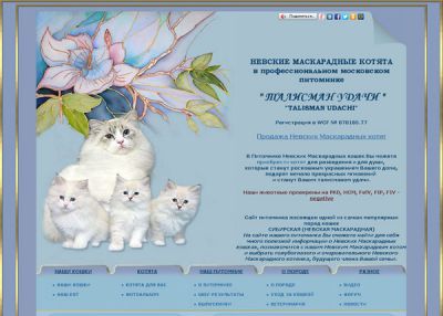 Невские маскарадные котята