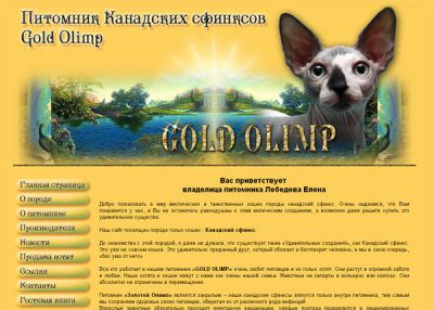 Питомник канадских сфинксов  GOLD OLIMP