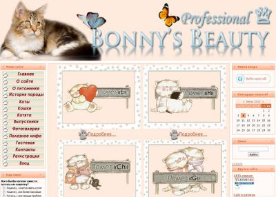 Питомник Мейн-кунов «Bonny's Beauty»