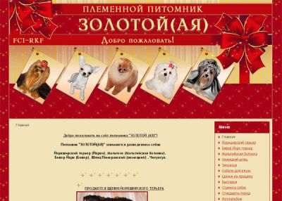 Питомник «Золотой(ая)» разведение собак