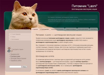 Шотландские вислоухие и страйт котята