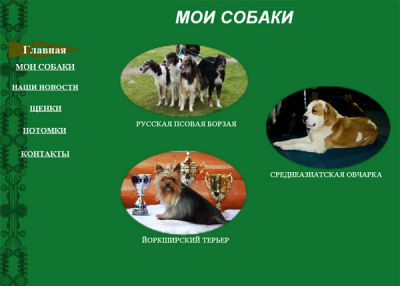 Собаки из подмосковья