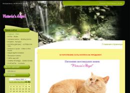 VICTORIA'S ANGEL Питомник шотландских кошек - kotmarket.at.ua