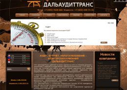 Аудит, бухучет, отчетность, налоги - дальаудиттранс.рф