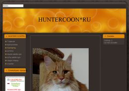 Котята Мейн Кун - huntercoon.ru