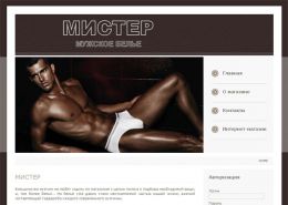 МИСТЕР - магазин мужского белья - mistermag.ru