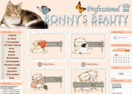 Питомник Мейн-кунов «Bonny's Beauty» - bonny-sbeauty.ucoz.ru
