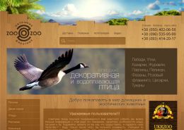 Животные, ручные и вольерного содержания - zoopets.com.ua