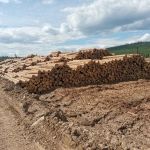 Вагонка, террасная доска, доска пола, имитация бруса