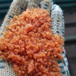 Куплю катионит анионит угли различных марок, кокосовый уголь
