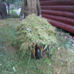 Покос травы бурьяна сухостоя