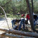 Уборка загородных участков