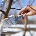 Уборка загородных участков