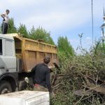 Вывоз мусора уборка свалок