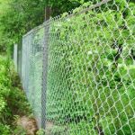 Заборы из сетки рабица