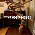 Насесты из кофейного дерева - производство индонезия