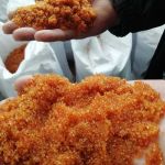 Куплю катионит, анионит, угли различных марок