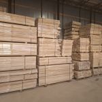 Буковая доска обрезная 30/40/50/60 мм