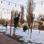 Освещение неоном. гирляндами. быстро. качественно