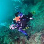 Курс дайвинга owd open water diver тюмень